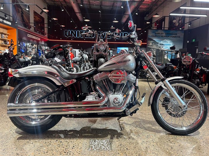 2007 Harley-Davidson Softail Standard 1584 (FXST) Softail