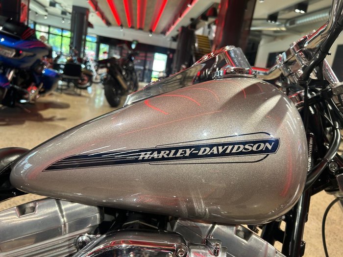 2007 Harley-Davidson Softail Standard 1584 (FXST) Softail