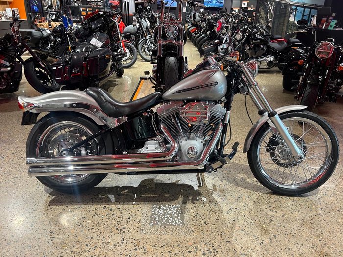 2007 Harley-Davidson Softail Standard 1584 (FXST) Softail