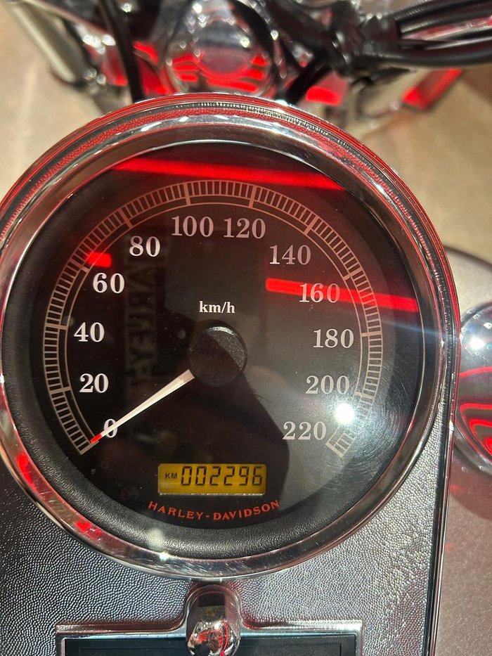 2007 Harley-Davidson Softail Standard 1584 (FXST) Softail