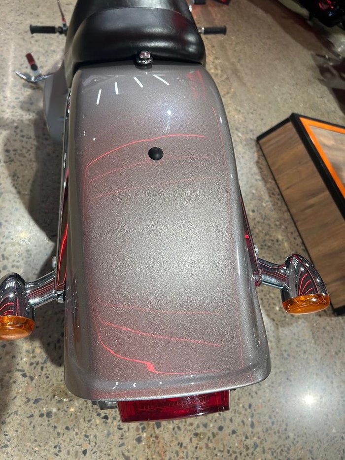 2007 Harley-Davidson Softail Standard 1584 (FXST) Softail