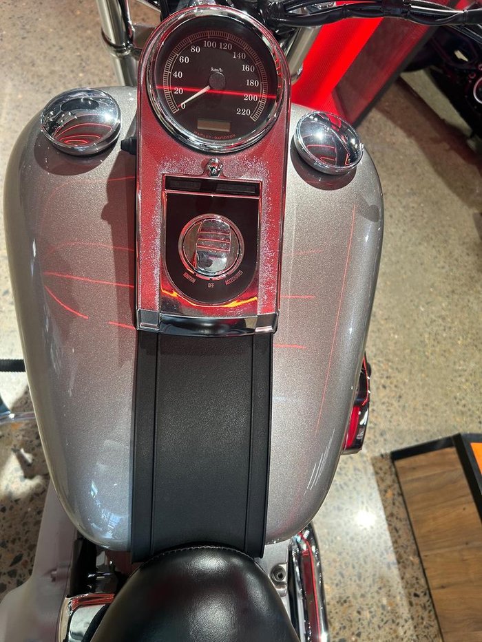 2007 Harley-Davidson Softail Standard 1584 (FXST) Softail