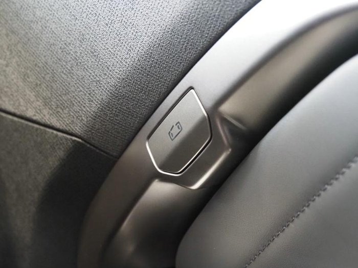 2025 LDV Terron 9 Evolve