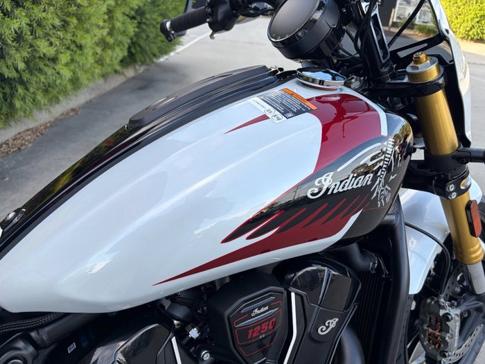 2025 Indian SCOUT 101 White