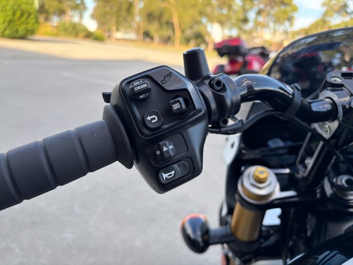 2025 Indian SCOUT 101 White