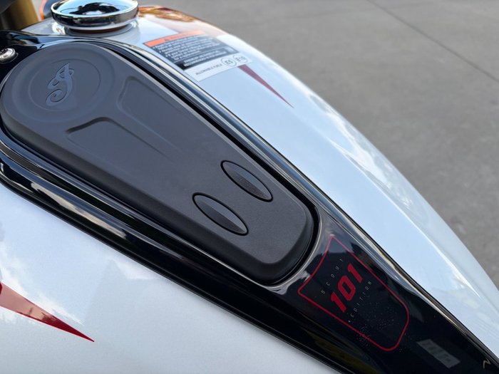 2025 Indian SCOUT 101 White