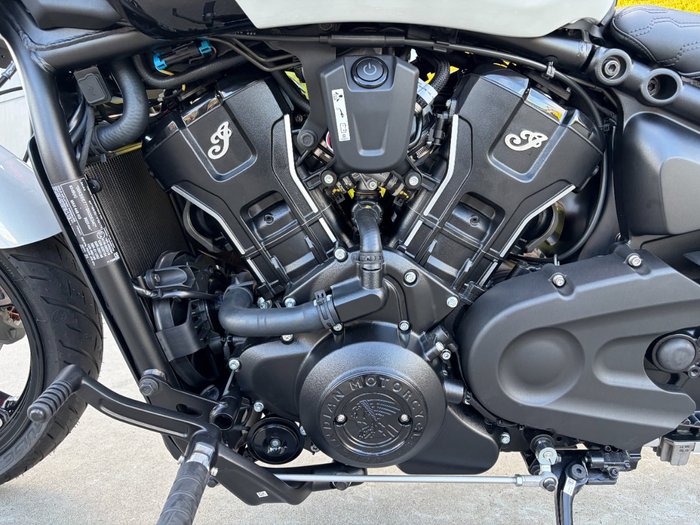 2025 Indian SCOUT 101 White