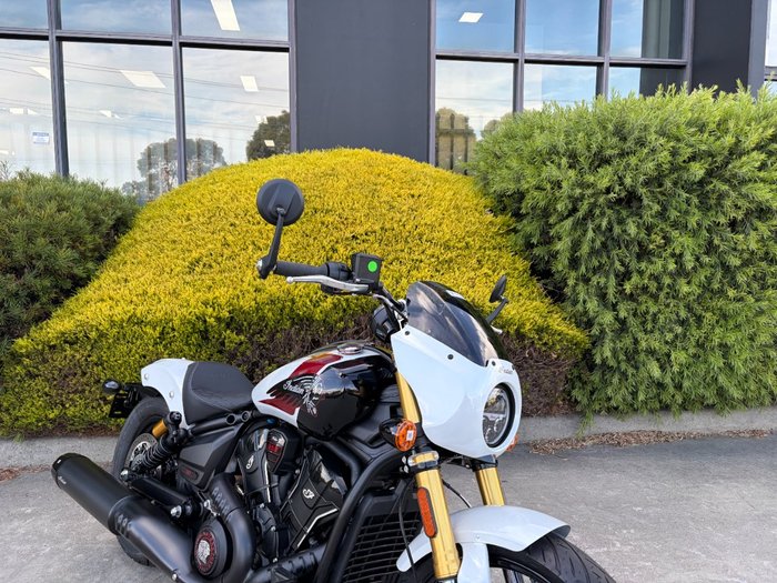 2025 Indian SCOUT 101 White