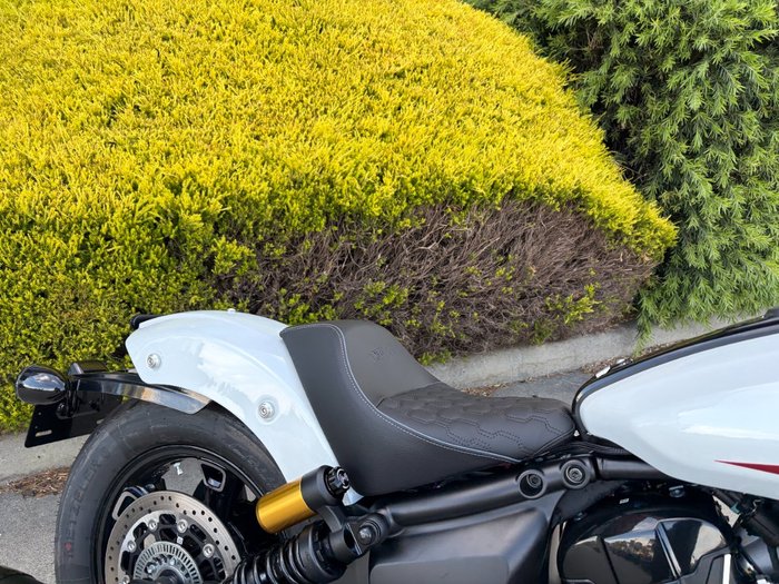 2025 Indian SCOUT 101 White