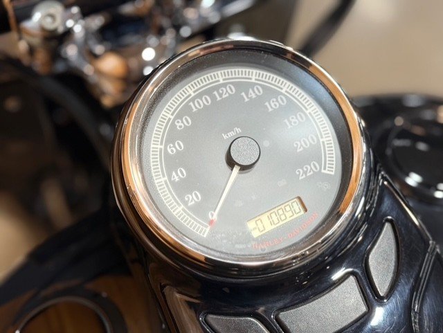 2015 HARLEY-DAVIDSON FLS SOFTAIL SLIM
