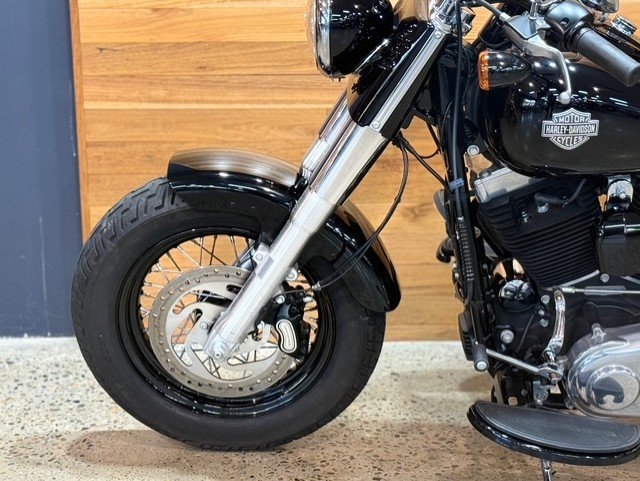 2015 HARLEY-DAVIDSON FLS SOFTAIL SLIM