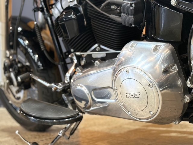 2015 HARLEY-DAVIDSON FLS SOFTAIL SLIM