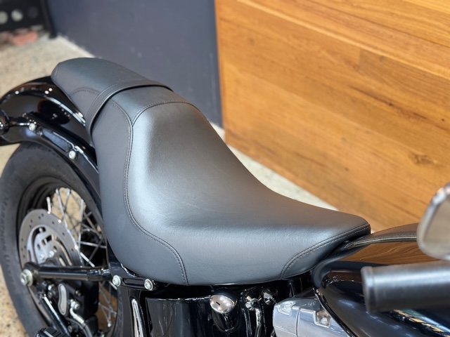 2015 HARLEY-DAVIDSON FLS SOFTAIL SLIM