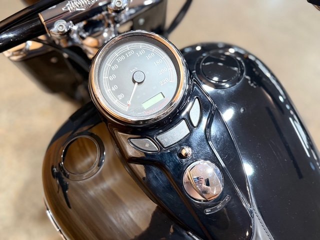 2015 HARLEY-DAVIDSON FLS SOFTAIL SLIM