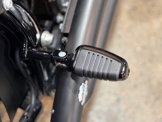 2015 HARLEY-DAVIDSON FLS SOFTAIL SLIM