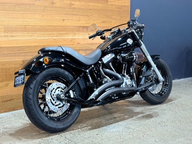 2015 HARLEY-DAVIDSON FLS SOFTAIL SLIM