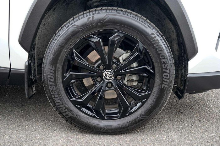 2022 Toyota RAV4 Cruiser