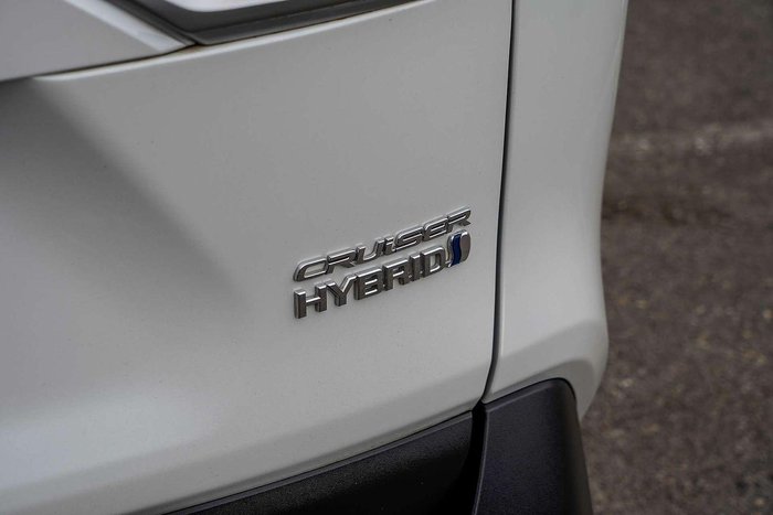 2022 Toyota RAV4 Cruiser