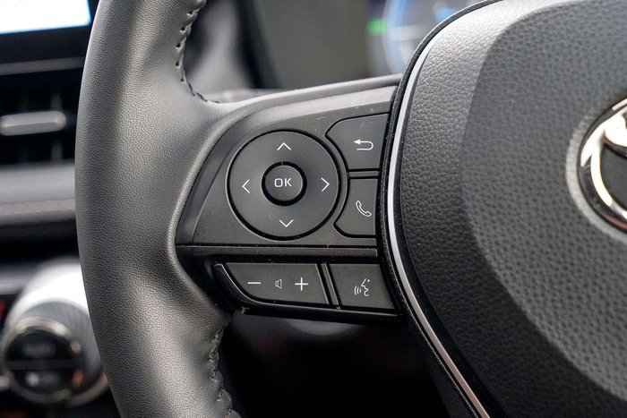 2022 Toyota RAV4 Cruiser