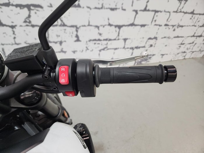 2026 Triumph Trident 660 Trident White