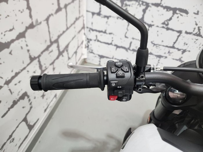 2026 Triumph Trident 660 Trident White