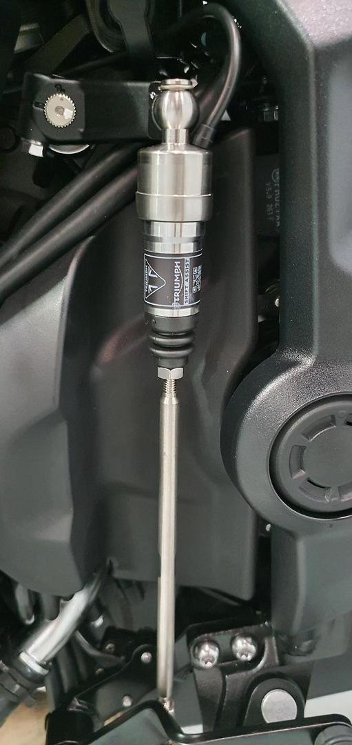 2026 Triumph Trident 800 Trident Red