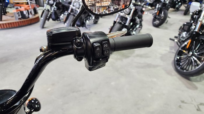 2025 HARLEY-DAVIDSON FLRT FREEWHEELER