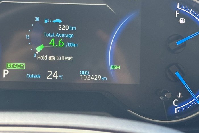 2020 Toyota RAV4 Cruiser