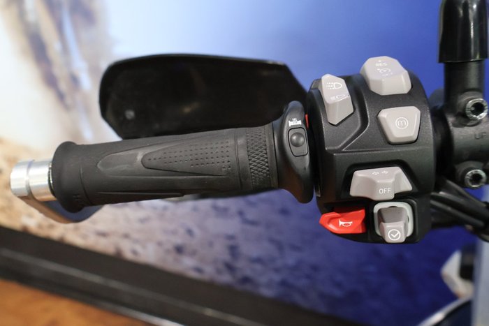 2023 TRIUMPH TIGER 900 RALLY PRO Green