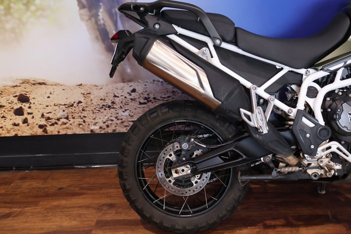 2023 TRIUMPH TIGER 900 RALLY PRO Green