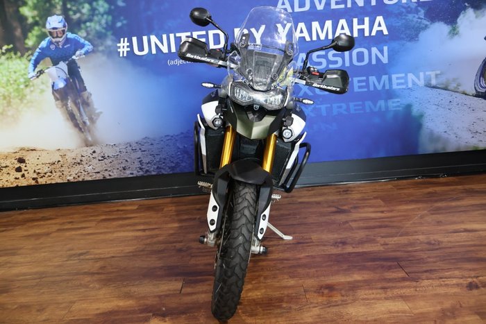 2023 TRIUMPH TIGER 900 RALLY PRO Green