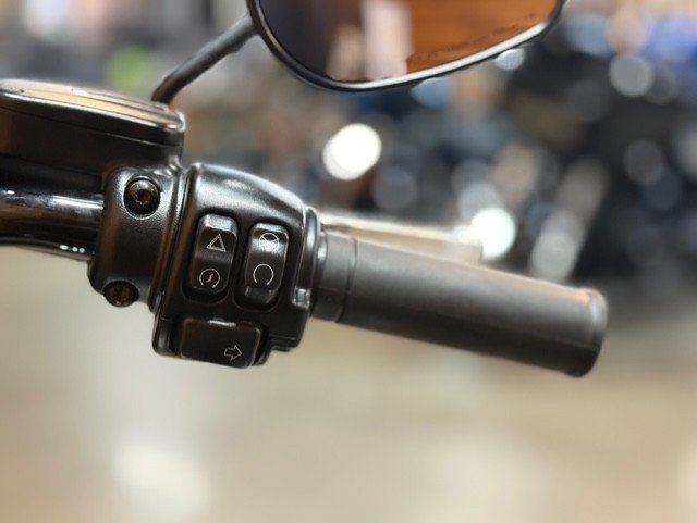 2022 HARLEY-DAVIDSON FLHCS HERITAGE CLASSIC 114