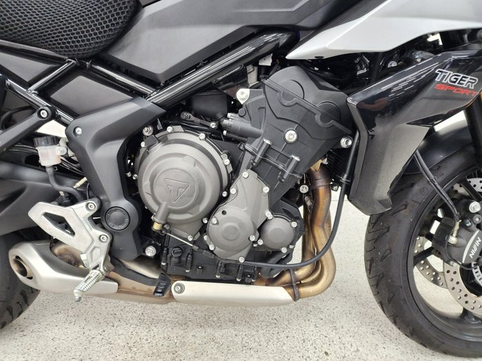 2024 Triumph TIGER SPORT 660 White