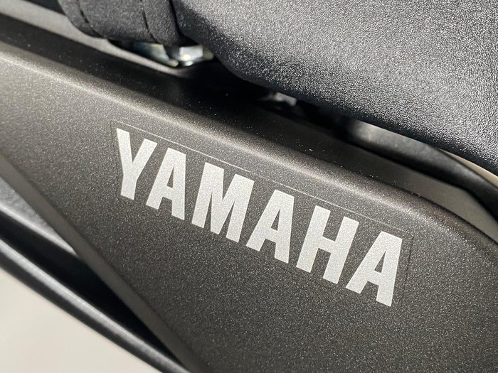 2014 Yamaha MT-09 MT Silver