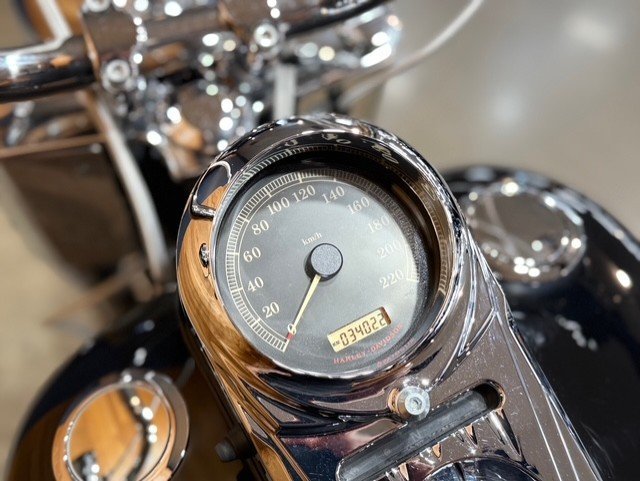 2007 HARLEY-DAVIDSON FLSTF FAT BOY