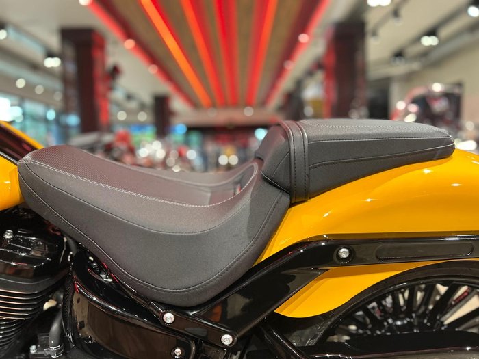 2025 Harley-Davidson Breakout 117 (FXBR) Softail