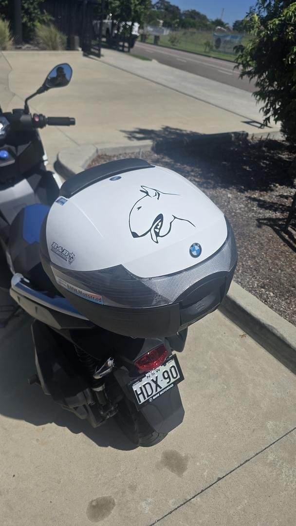2024 BMW C 400 X C 400 White