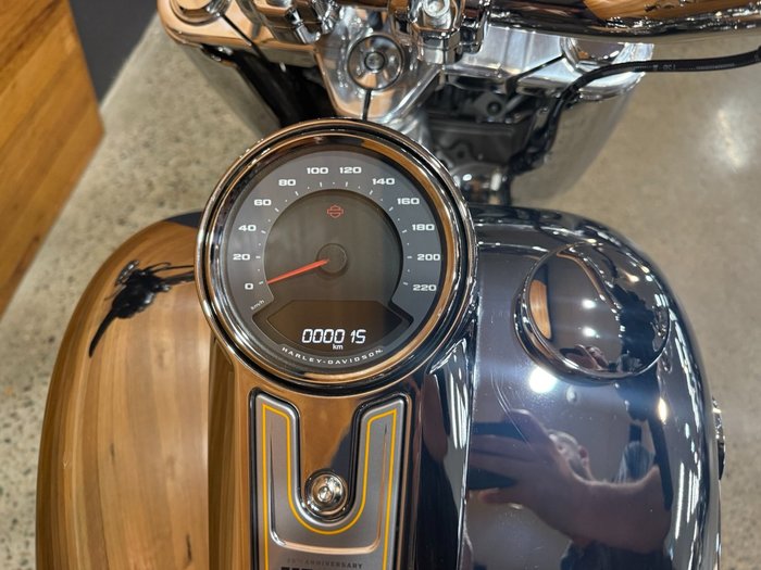 2025 HARLEY-DAVIDSON FLSTFI FAT BOY GRAY GHOST