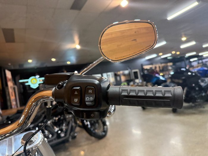 2025 HARLEY-DAVIDSON FLSTFI FAT BOY GRAY GHOST