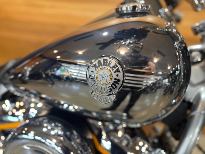 2025 HARLEY-DAVIDSON FLSTFI FAT BOY GRAY GHOST