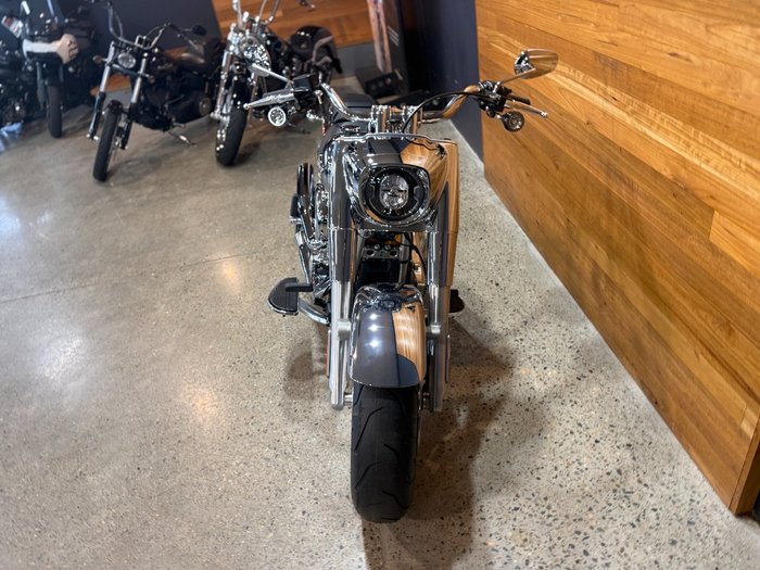 2025 HARLEY-DAVIDSON FLSTFI FAT BOY GRAY GHOST