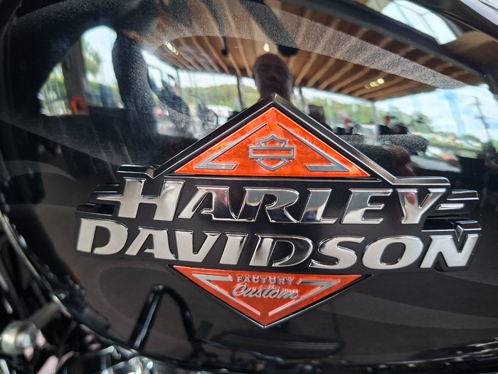 2025 HARLEY-DAVIDSON FLHX STREET GLIDE (117)