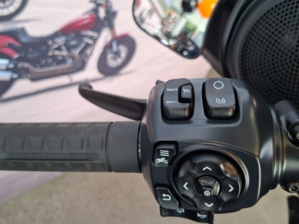 2025 HARLEY-DAVIDSON FLHX STREET GLIDE (117)