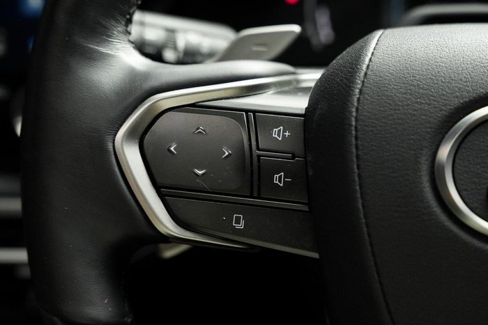 2024 Lexus RX 350h Sports Luxury