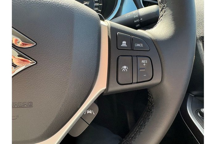 2025 Suzuki Vitara Turbo LY Series II Ivy/Black (A9N)