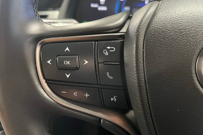 2024 Lexus UX UX300h Sport Luxury