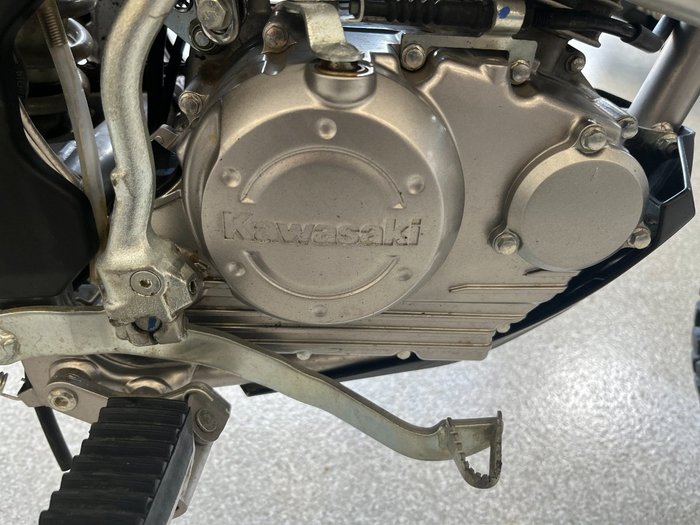 2019 Kawasaki KLX150BF SE WHITE