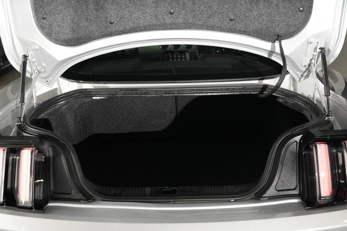 2017 Ford Mustang FM MY17 Ingot Silver