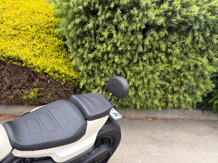 2022 HARLEY-DAVIDSON RH1250S SPORTSTER S White