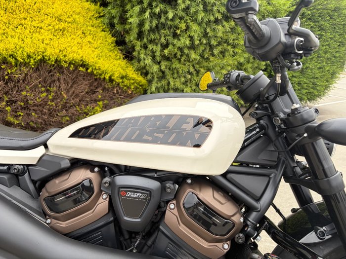 2022 HARLEY-DAVIDSON RH1250S SPORTSTER S White